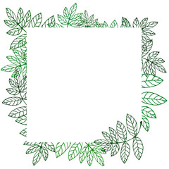 Frame with green leaves, isolated on a white background. For web design, decoration, invitations