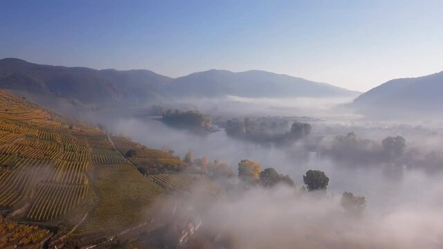 Aerial of Wachau valley vineyards, Austria.