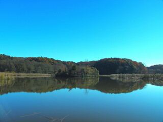 初冬の池と森のある21世紀の森と広場風景