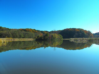初冬の池と森のある21世紀の森と広場風景