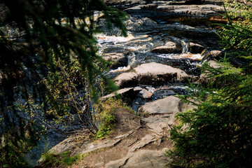 A river in a mountain forest. Composition of nature.