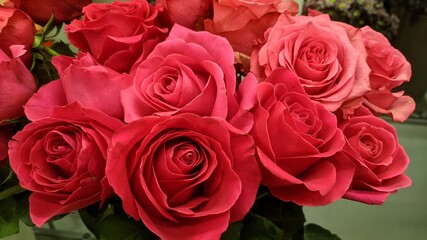 bouquet of red roses