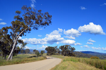 Fototapeta premium Coxs River Road in rural New South Wales, Australia