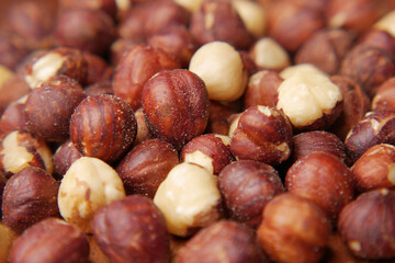 hazelnuts in a container on black background,