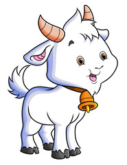 The baby goat with the bell neck is doing the pose