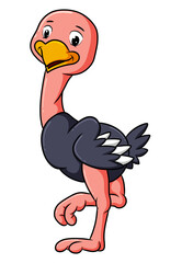 The happy ostrich is standing with the one leg up