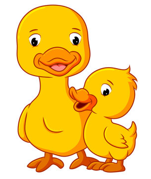 The duck is talking and playing with the mother duck