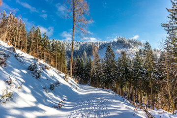Schöne Winterlandschaft auf den Höhen des Thüringer Waldes bei Oberschönau - Thüringen