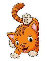 The playful cat is posing a good style