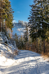 Schöne Winterlandschaft auf den Höhen des Thüringer Waldes bei Oberschönau - Thüringen