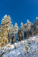 Schöne Winterlandschaft auf den Höhen des Thüringer Waldes bei Oberschönau - Thüringen