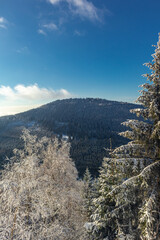 Schöne Winterlandschaft auf den Höhen des Thüringer Waldes bei Oberschönau - Thüringen