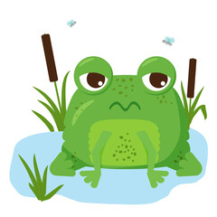 Tired green frog sitting on a leaf.