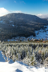 Schöne Winterlandschaft auf den Höhen des Thüringer Waldes bei Oberschönau - Thüringen