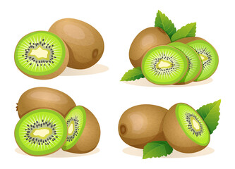 Collection of fresh kiwi fruit whole, half and cut slice illustration isolated on white background