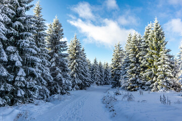 Schöne Winterlandschaft auf den Höhen des Thüringer Waldes bei Oberschönau - Thüringen