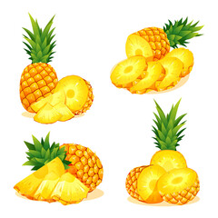 Set of fresh whole, half and cut slice pineapples illustration isolated on white background
