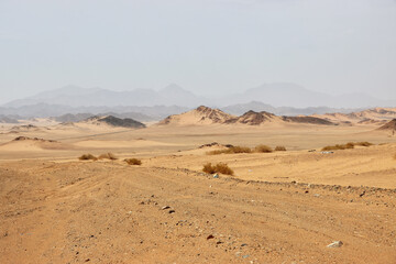Fototapeta na wymiar Sand dunes in the desert, Saudi Arabia