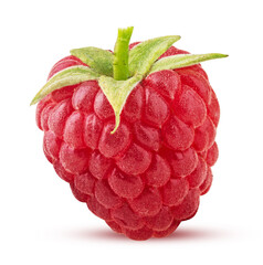 Ripe raspberries