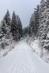 Fototapeta premium Schöne Winterlandschaft auf den Höhen des Thüringer Waldes bei Oberschönau - Thüringen