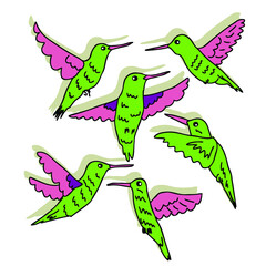 Fototapeta premium Hand drawn exotic hummingbirds collection. Perfect for T-shirt, poster, greeting card and print. Doodle vector illustration for decor and design. 