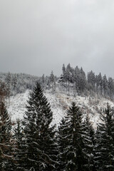 Schöne Winterlandschaft auf den Höhen des Thüringer Waldes bei Oberschönau - Thüringen