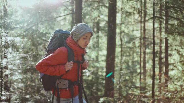 Adventureous inspired woman with backpack walking on path forest. Autumn holiday and vacation trip, female hiker student on digital detox, walking tour vacation, close to nature. slow motion.