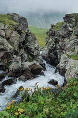 Mountain river Kyafar, tourist resort of Arkhyz.