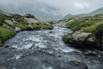 Mountain river Kyafar, tourist resort of Arkhyz.