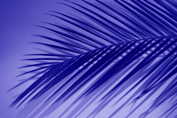 Obraz premium Tropical and palm leaves in vibrant gradient purple neon colors. Blog template concept. The color of 2022 is very peri.