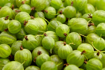 Gooseberry green berries food background. Ripe summer berries