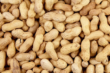 Roasted peanuts in shell background