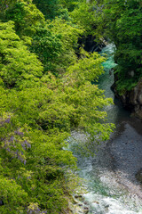Naklejka na ściany i meble みずみずしい新緑に包まれた白山麓の観光名所・手取峡谷