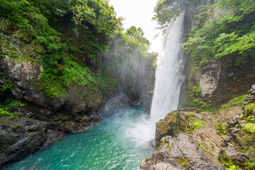 豪快に水が落ちる春の綿ヶ滝