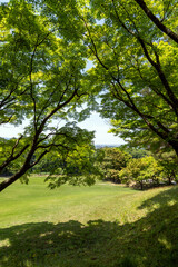 みずみずしい緑に包まれた初夏の奥卯辰山県民公園