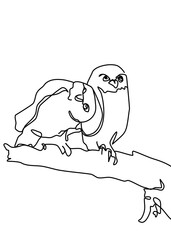 One continuous line drawing, bird perched on a branch