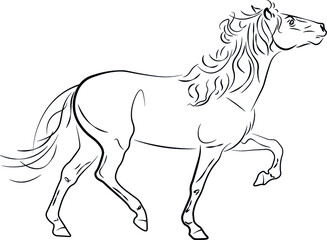 horse vector