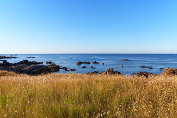 Le Pouliguen wild coast in the  Guerande peninsula