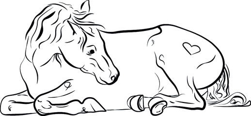 horse vector 