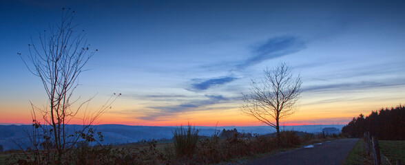 Sunset under the trees. Nature sunset background.
