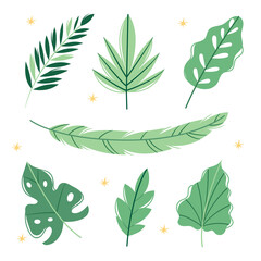 Set of tropical leaves. Elements for graphic design. Modern pastel colors.