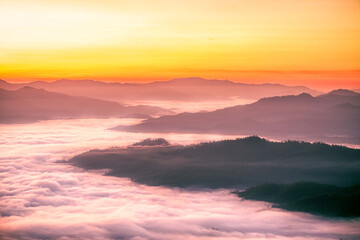 Fototapeta na wymiar silhouettes through the morning colorful fog.