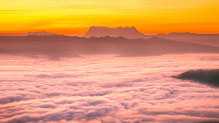 Fototapeta na wymiar silhouettes through the morning colorful fog.