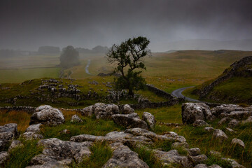 Winskill Stones in Mist