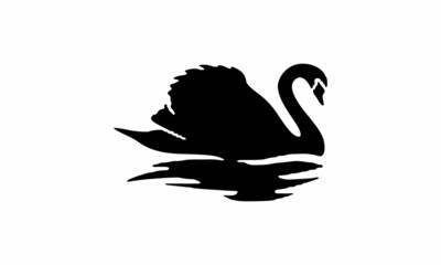 Obraz premium swans on the water