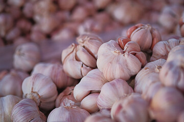 Close up of garlic on pile of garlic us as background