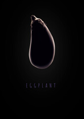 eggplant with light to the contours on black background, vertical, vegetable and vegetable graphics, abstract illustration of vegetable