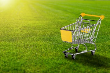 Sustainable consumption. Small shopping cart on green grass background. Zero waste concept.