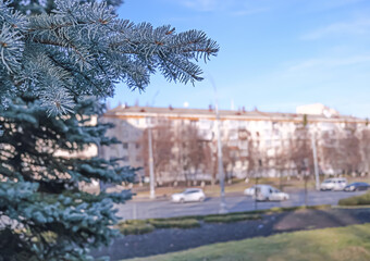 Fototapeta na wymiar A branch of a blue Christmas tree against the background of the city of Kiev. Back ground soft focus. Space for your text. High quality photo