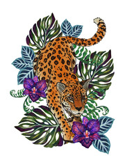 Jungle, animals exotic illustrations of tiger leopard, palm leaves,  tropical leaves, monstera, orchid purple violet color and branch foliage Drawings element